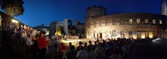 Castle Panorama 700X248