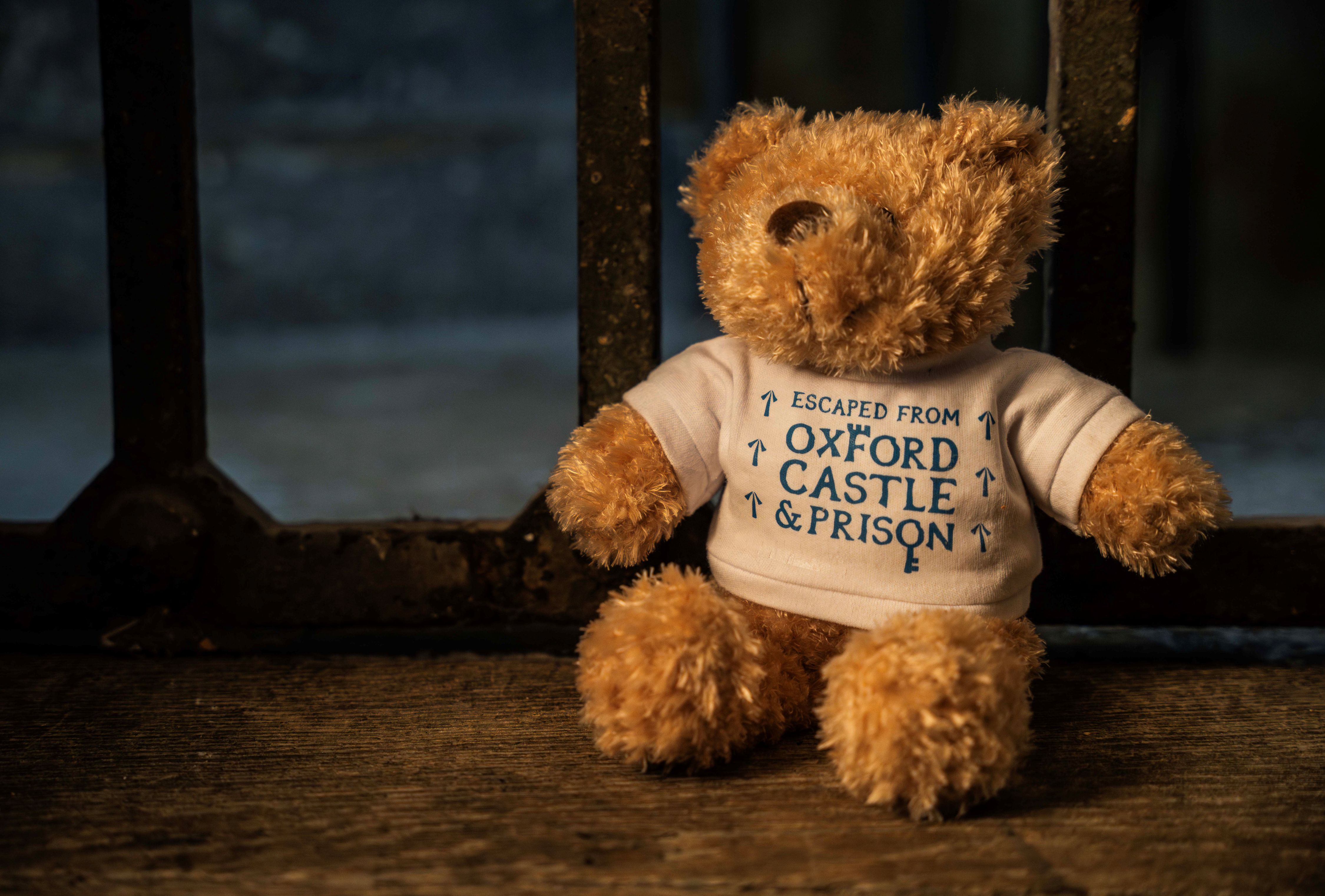 OCP Teddy