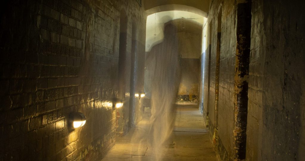 Paranormal Scaled E1600363190141 1024X540