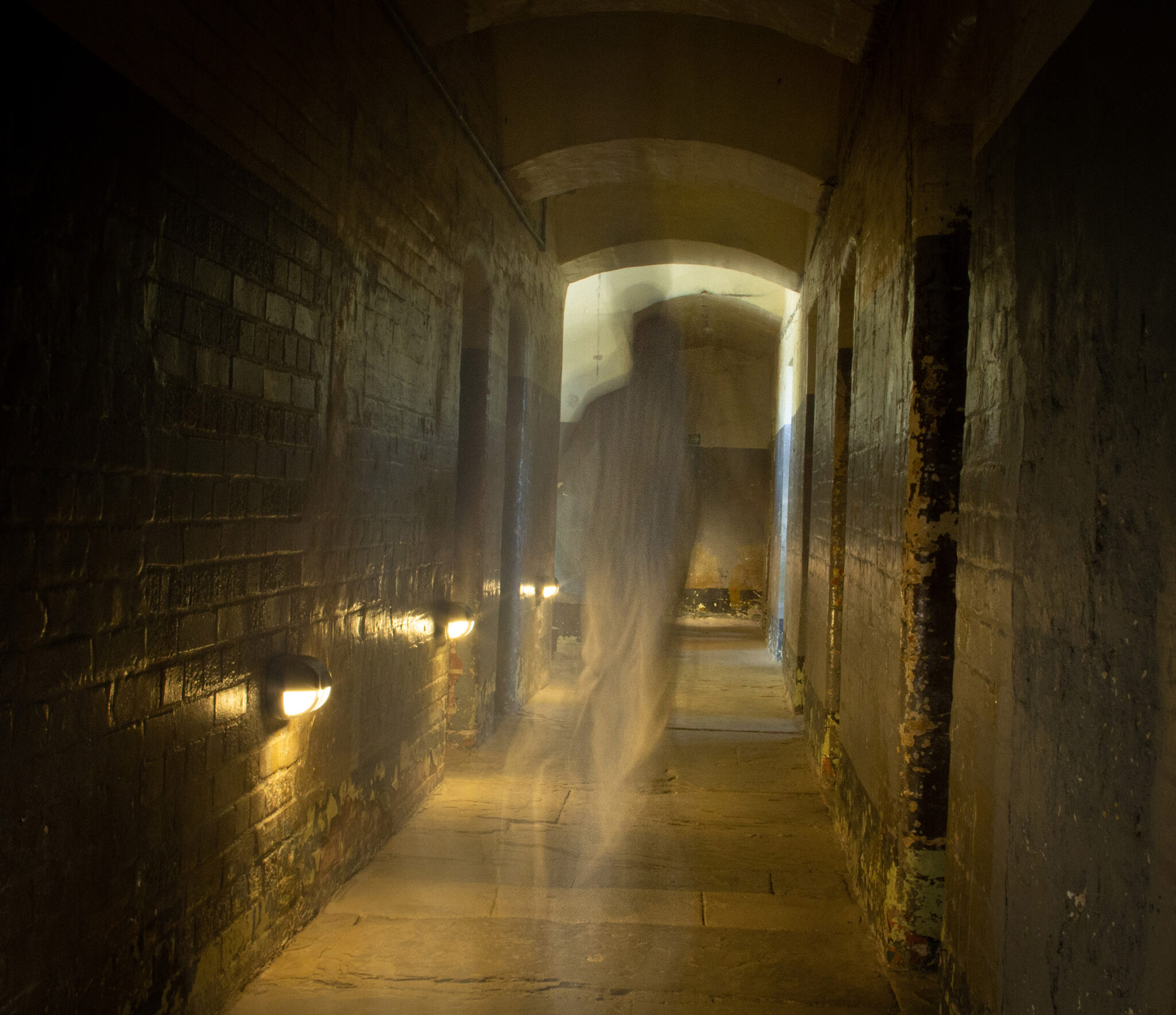 Paranormal Resized Scaled