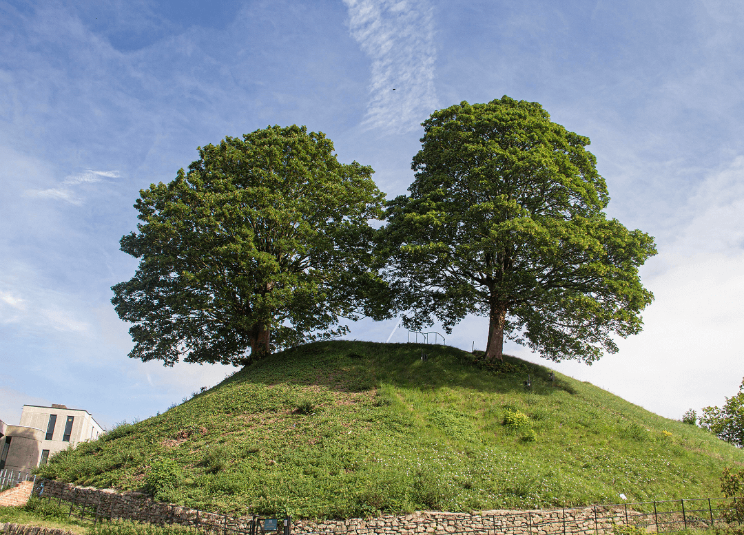 The Mound
